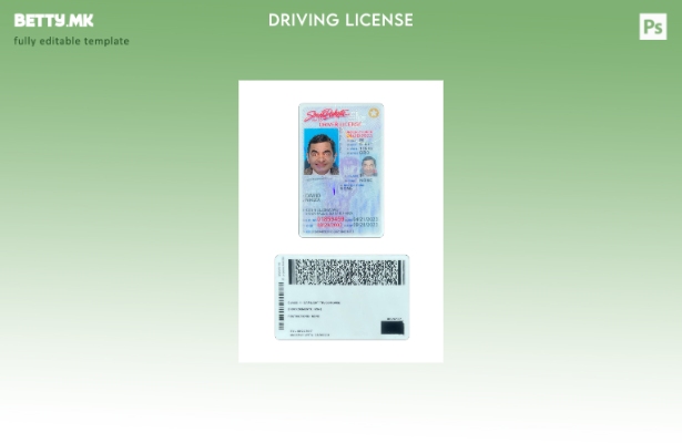 модерен стил САД Јужна Дакота под возачка дозвола присутен шаблон